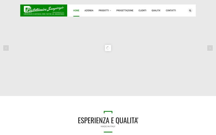 Screenshot of cartotecnicasangiorgio.com