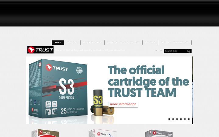 Screenshot of cartuchostrust.com