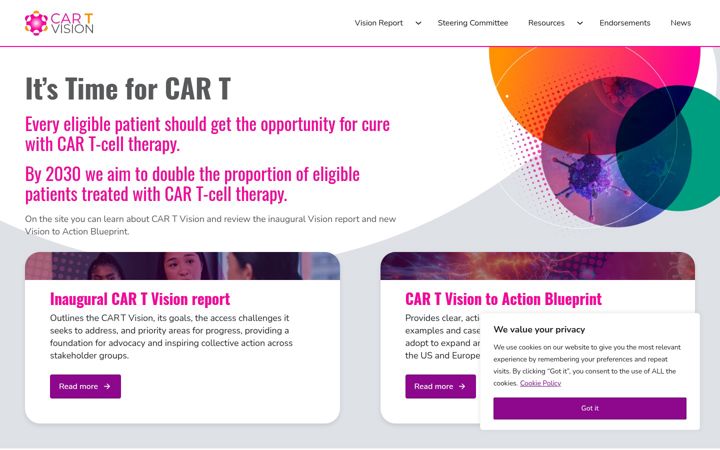 Screenshot of cartvision.com