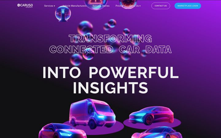 Ekrano kopija caruso-dataplace.com