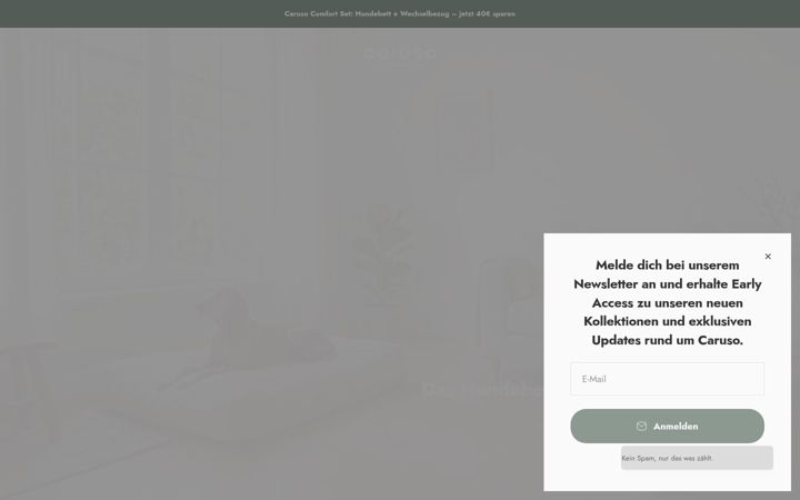 Screenshot of caruso-pet.de