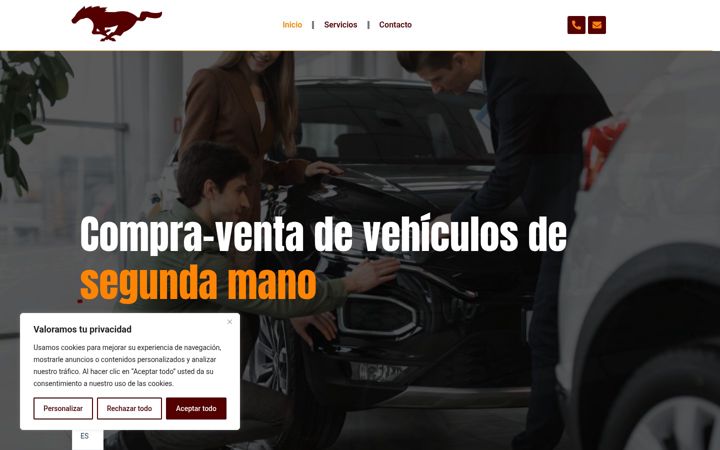 Screenshot of carviautorsdeluxe.com