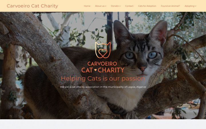 Screenshot of carvoeirocatcharity.com