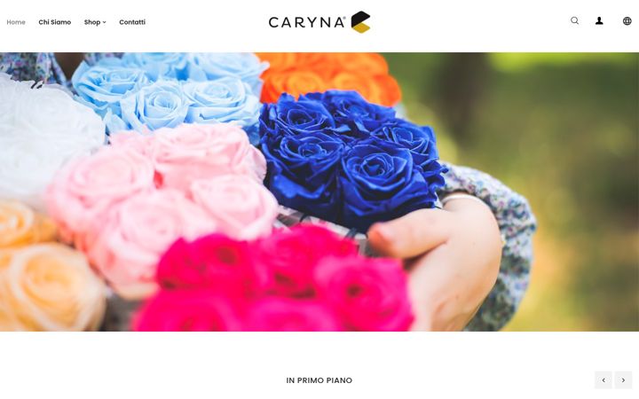 Screenshot of caryna.it