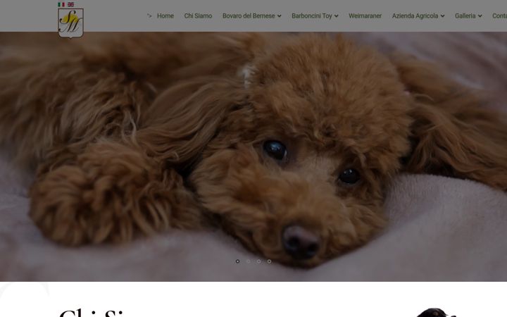 Screenshot of casa-sanmartino.com
