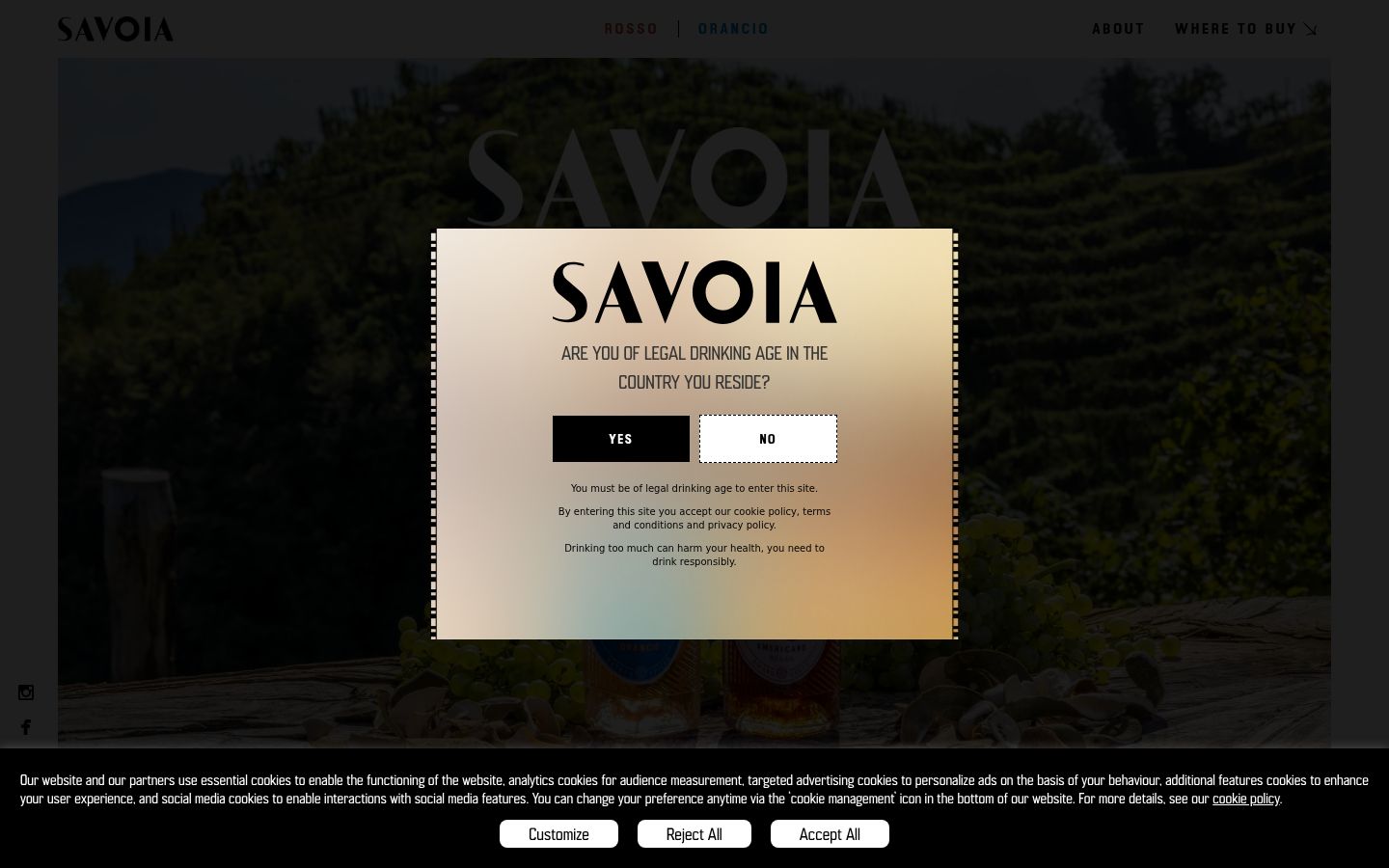 Screenshot of the consent banner shown before any interaction