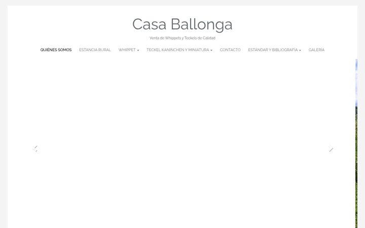 Screenshot of casaballonga.com