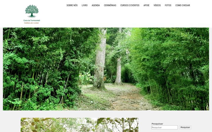 Screenshot of casadetupinamba.org.br