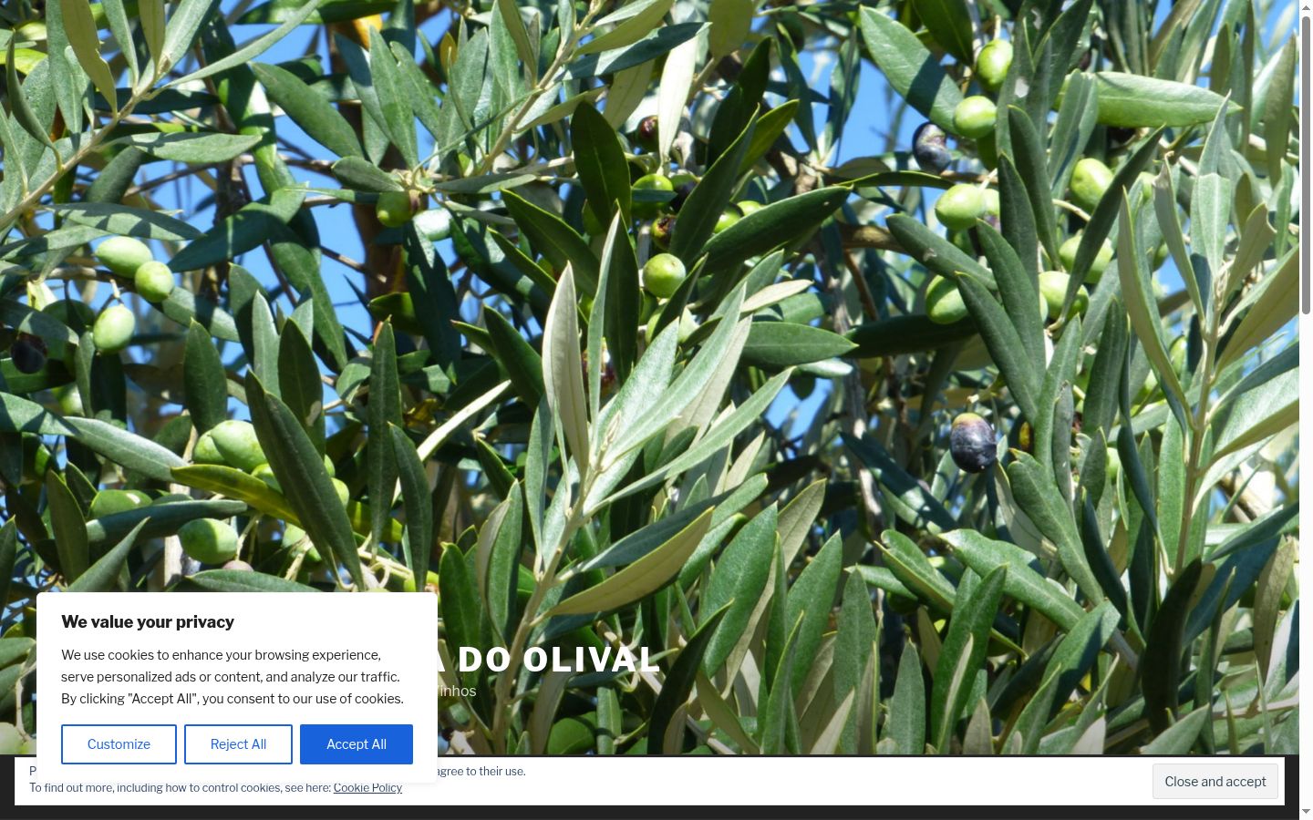 Screenshot of the consent banner shown before any interaction