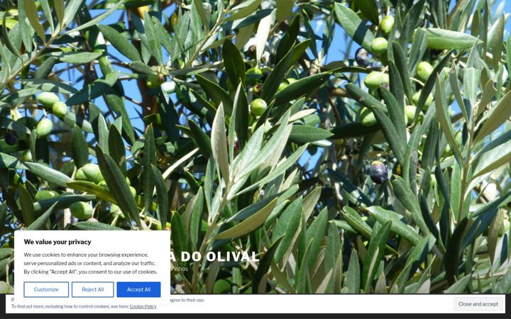 Screenshot of casadoolivalfv.pt