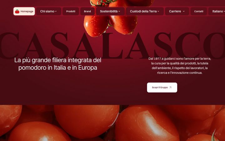 Screenshot of casalasco.com