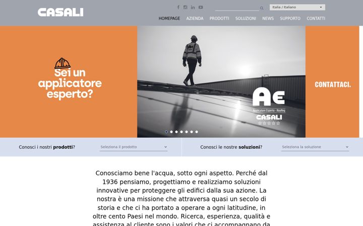 Screenshot of casali-group.com