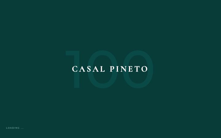 Captura de ecrã de casalpineto.it