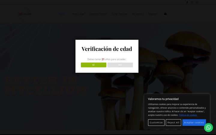Zrzut ekranu casamycellium.com.co