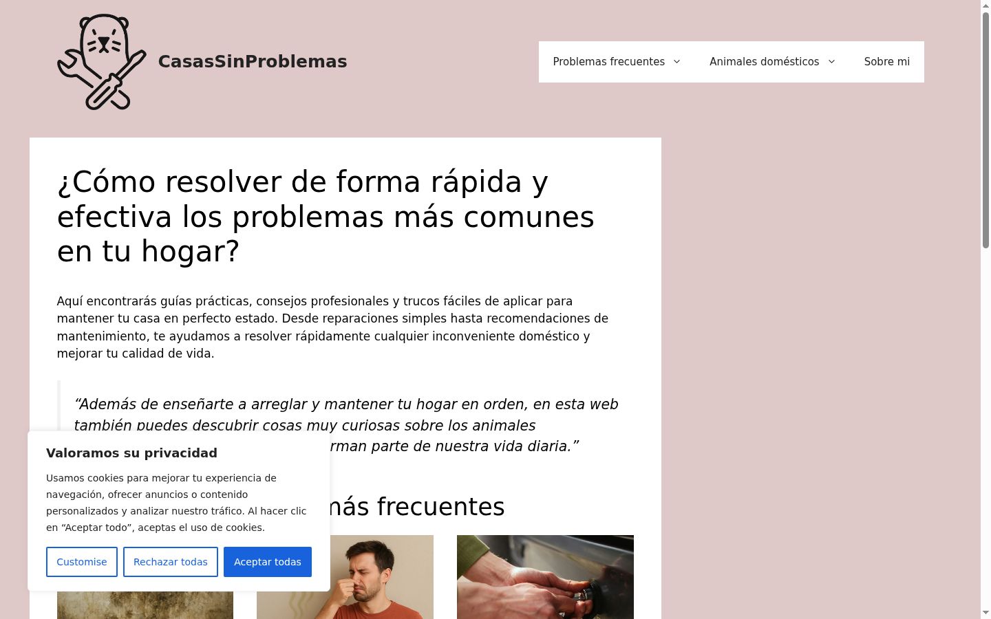 Captura de pantalla del banner de consentimiento mostrado antes de cualquier interacción