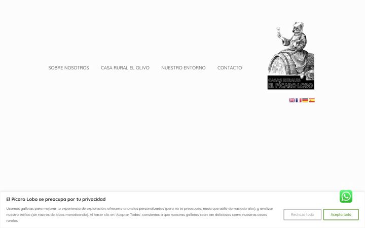 Screenshot of casasruraleselpicarolobo.es