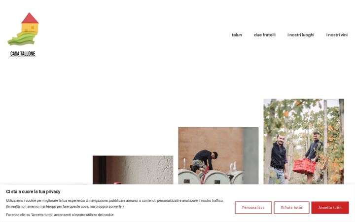 Screenshot di casatallone.it
