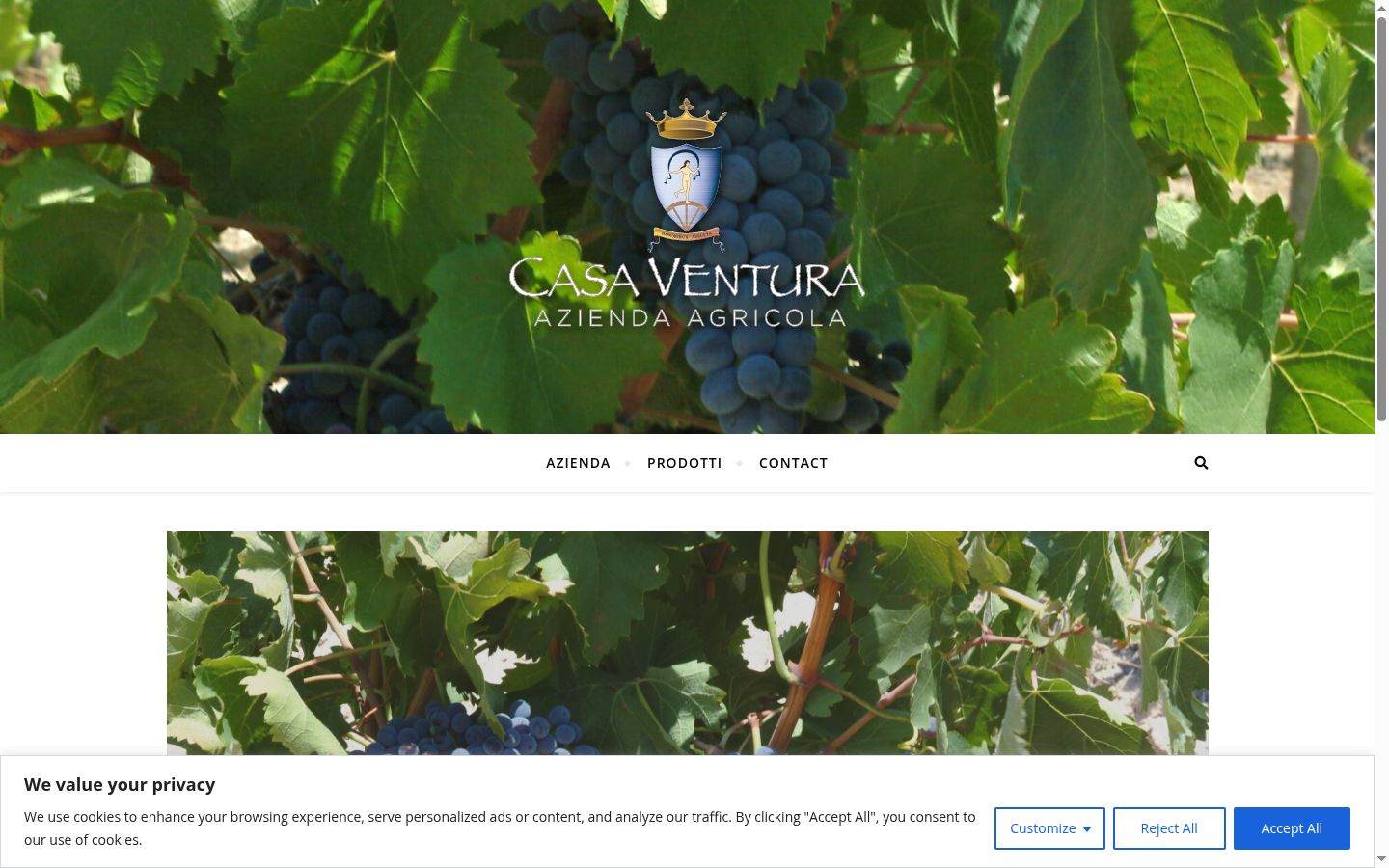 Screenshot del banner di consenso mostrato prima di qualsiasi interazione