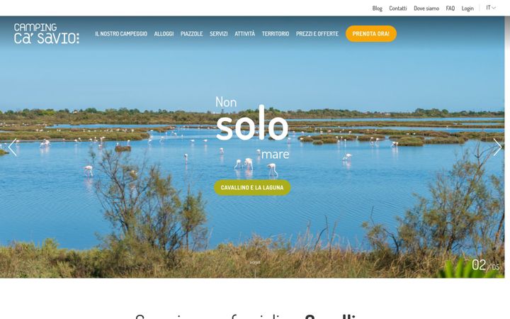 Screenshot of casavio.com