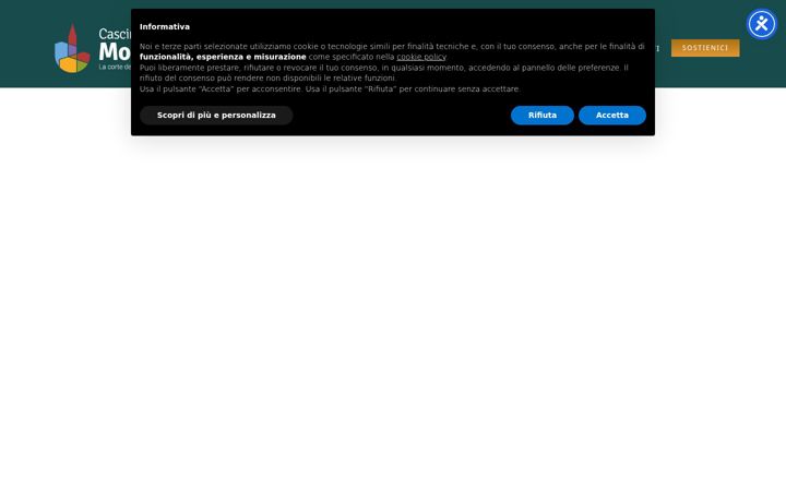 Screenshot of cascinamonlue.it
