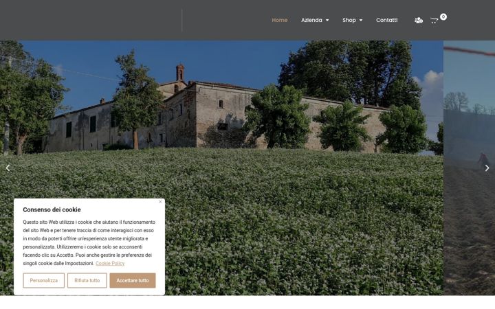 Skærmbillede af cascinasantostefano.it