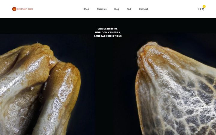 Screenshot of caseeds.dk