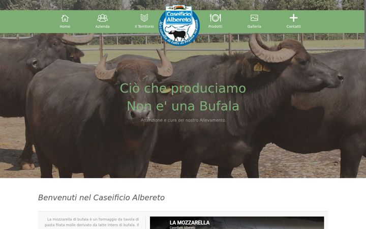 Screenshot of caseificioalbereto.it