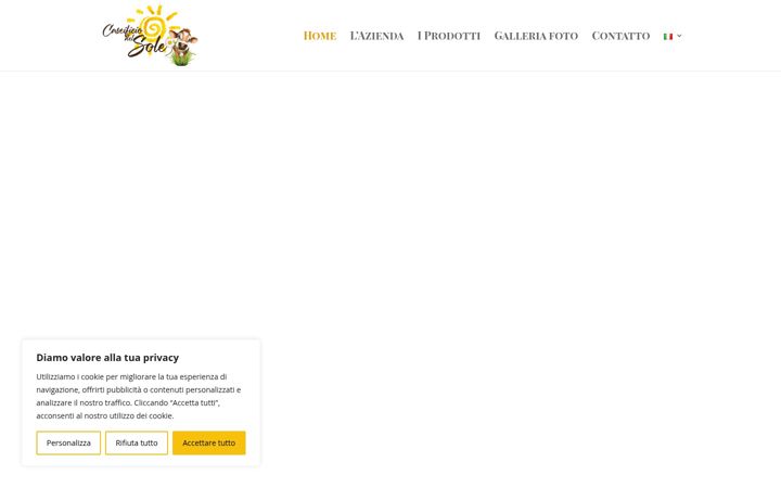 Screenshot of caseificiodelsole.ch