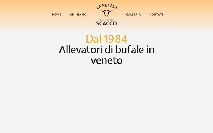 Screenshot of caseificioscacco.com