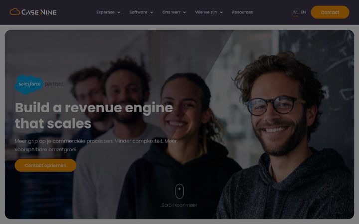Screenshot of casenine.com