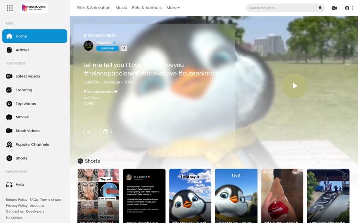 Screenshot of cashinvids.com