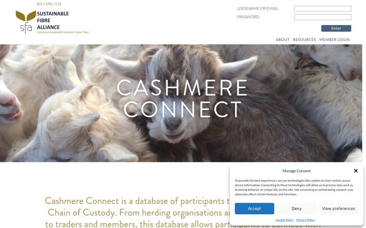 Screenshot of cashmere-connect.com