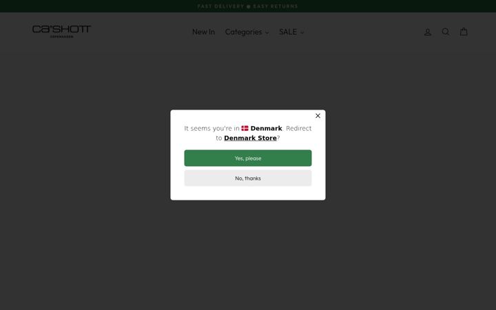 Screenshot of cashott.com