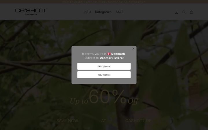 Screenshot of cashott.de