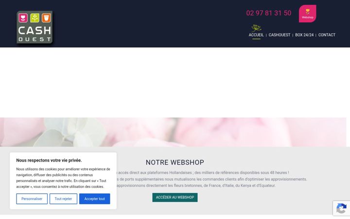 Screenshot of cashouest.com