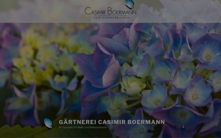 Screenshot of casimir-boermann.de