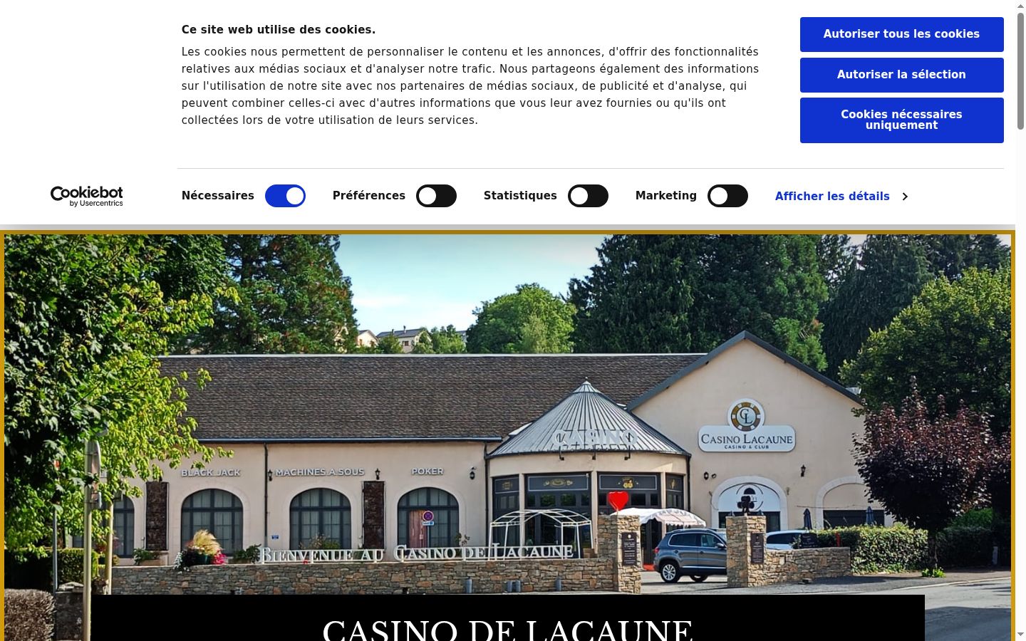Screenshot van de toestemmingsbanner zoals getoond vóór enige interactie