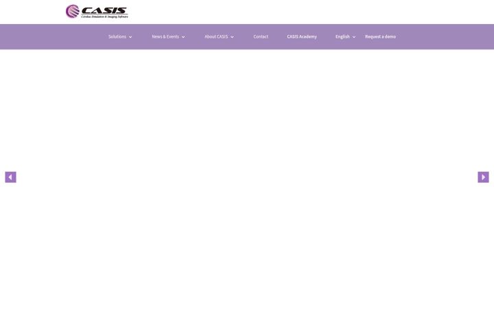 Screenshot of casis.fr