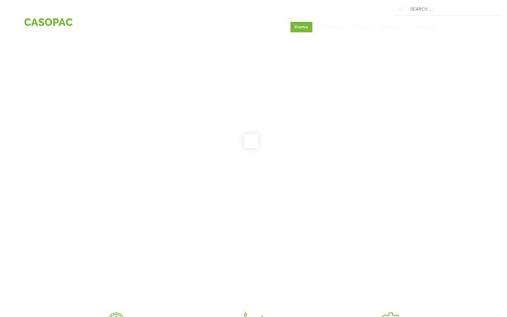 Screenshot of casopac.pt