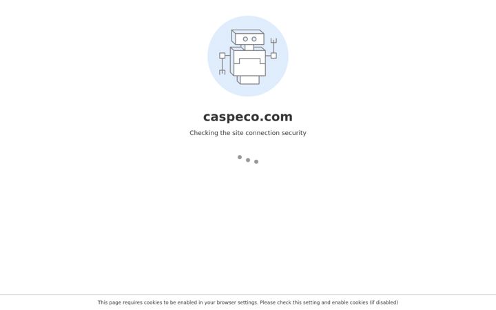 Screenshot of caspeco.net