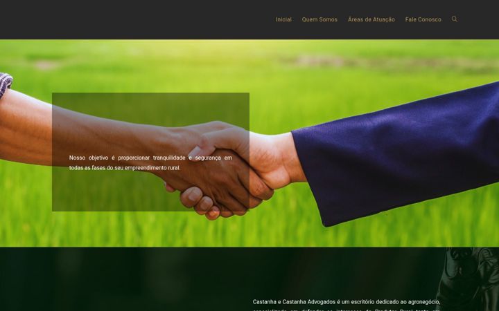 Screenshot of castanha.adv.br