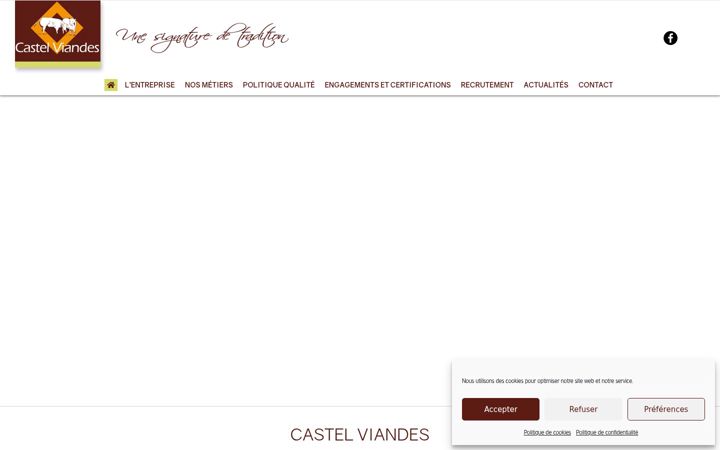 Skärmbild av castel-viandes.fr
