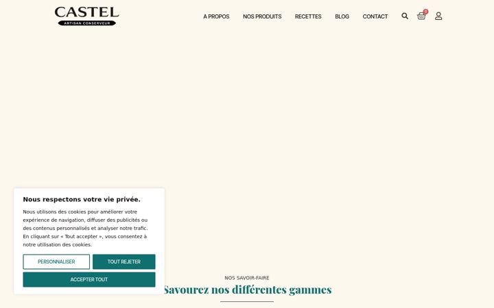 Screenshot of castelfoiegras.com