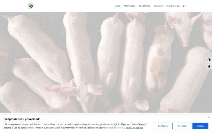 Screenshot of castellanadeporcino.com