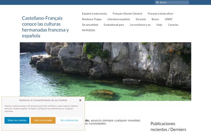 Screenshot of castellano-francais.es