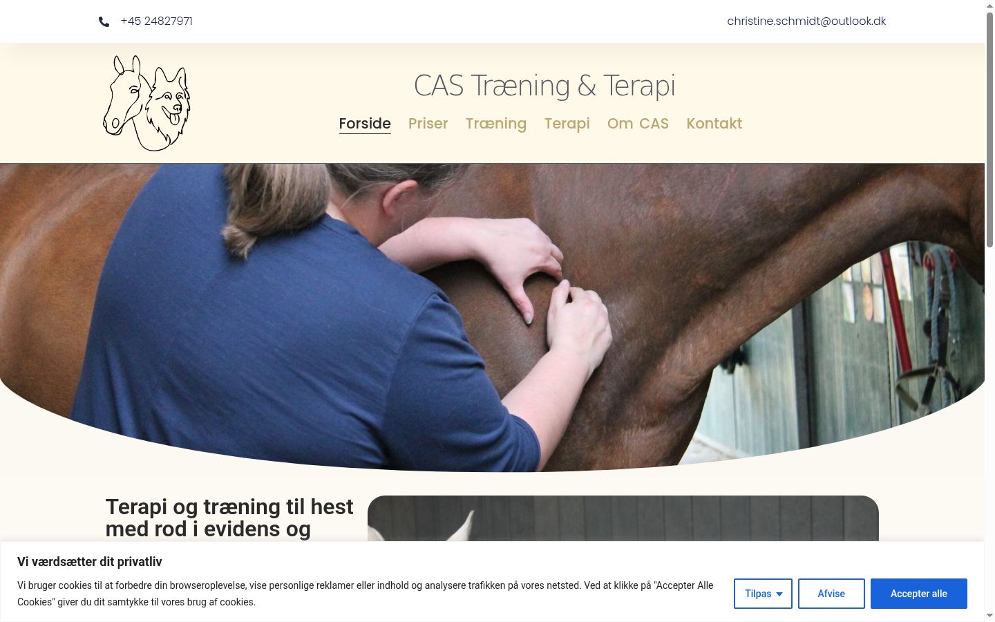 Screenshot van de toestemmingsbanner zoals getoond vóór enige interactie