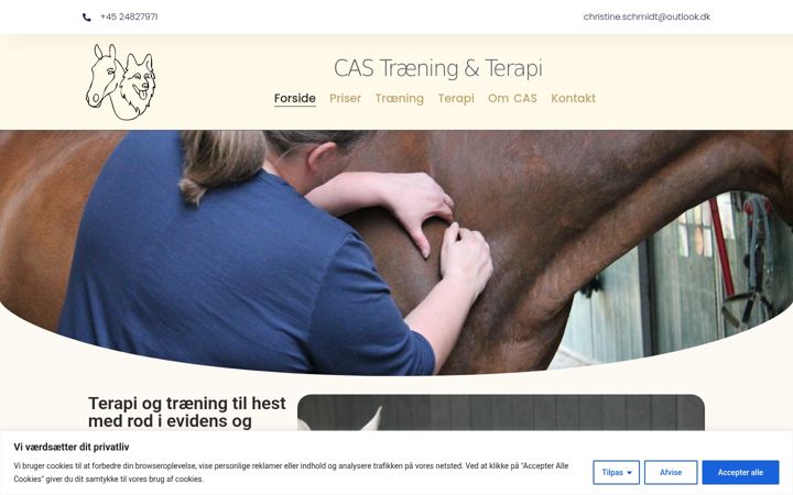 Screenshot of casterapi.dk