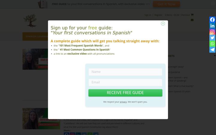 Screenshot of castilian-spanish-for-expats.com