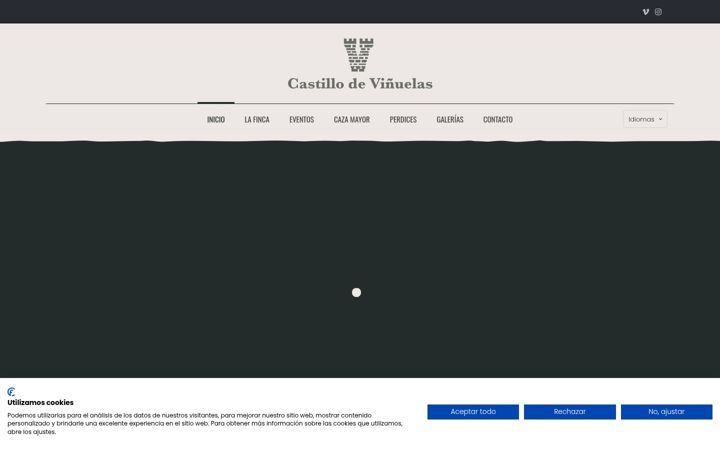 Screenshot ta' castillodevinuelas.es