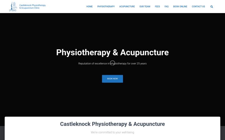 Screenshot of castleknockphysio.ie